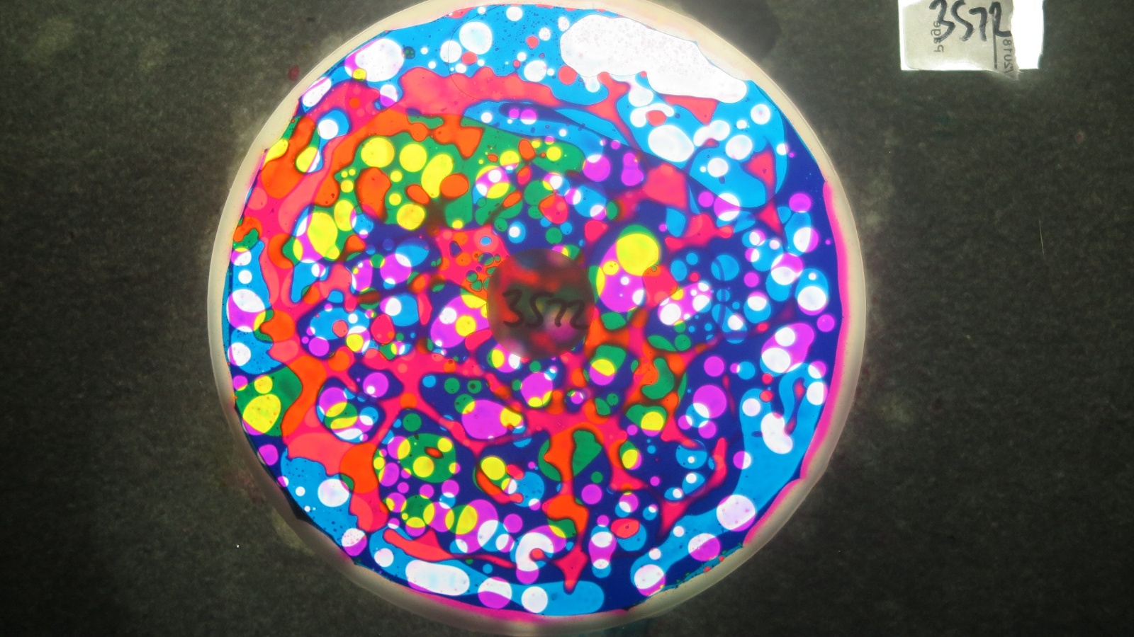 BV3572 bubble vision oil wheel